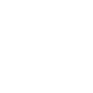 instagram valkoinen ikoni