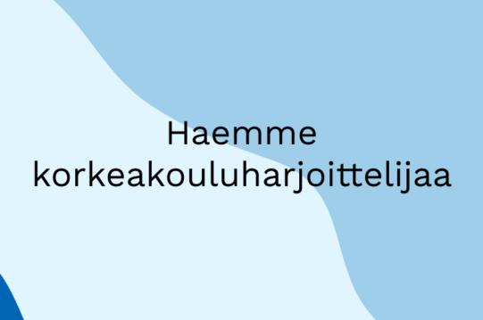 korkeakouluharjoittelu